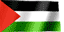 palestina-vlag-bewegende-animatie-0001