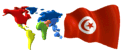 tunesie-vlag-bewegende-animatie-0009