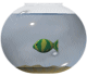 aquarium-en-vissenkom-bewegende-animatie-0010