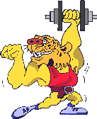 dier-sport-bewegende-animatie-0068