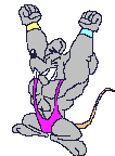 dier-sport-bewegende-animatie-0218