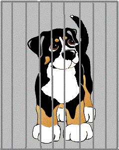 berner-sennen-hond-bewegende-animatie-0023