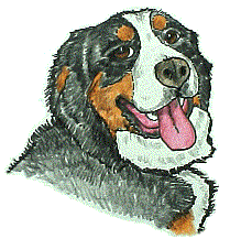berner-sennen-hond-bewegende-animatie-0180