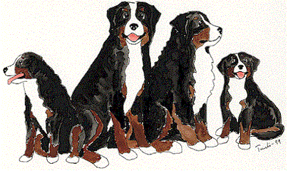 berner-sennen-hond-bewegende-animatie-0190