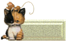 lege-naamplaat-bewegende-animatie-0756