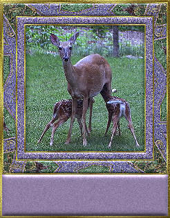 lege-naamplaat-bewegende-animatie-0762